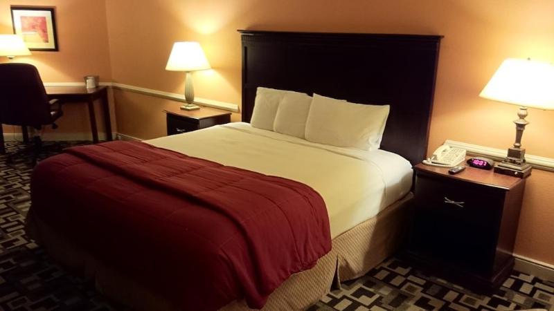 Wyndham Dfw Airport Hotel Irving Buitenkant foto